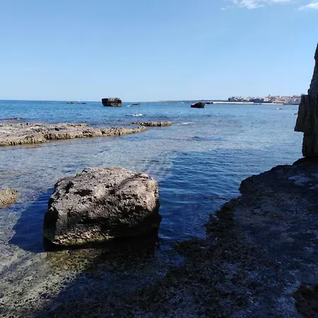 Dionisea