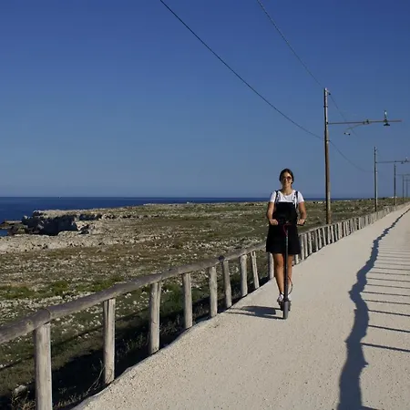 Appartement Dionisea