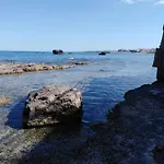 Dionisea